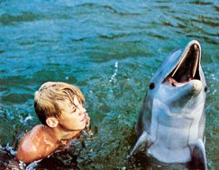 Flipper, Luke Halpin, 1963