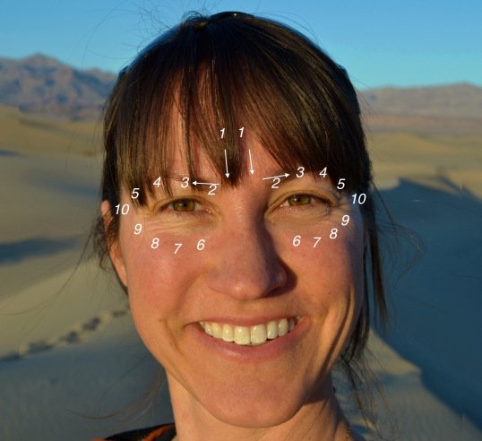 Acupressure points for the eyes.