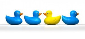 iStock_000020530326Small