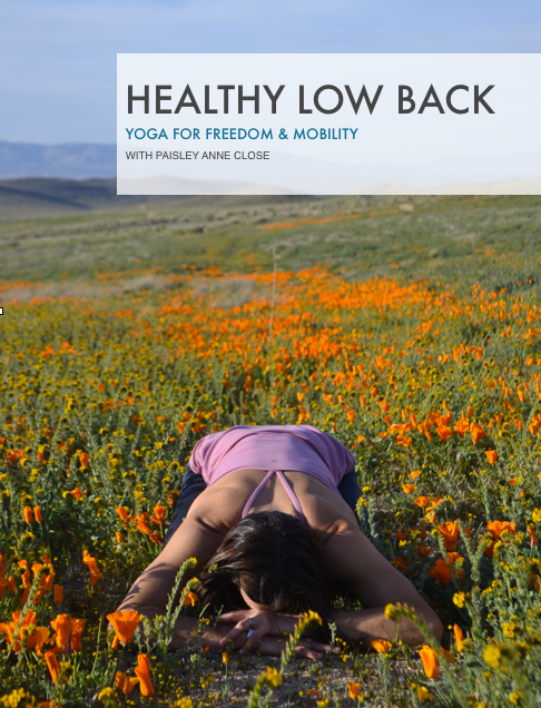 healthy_low_back
